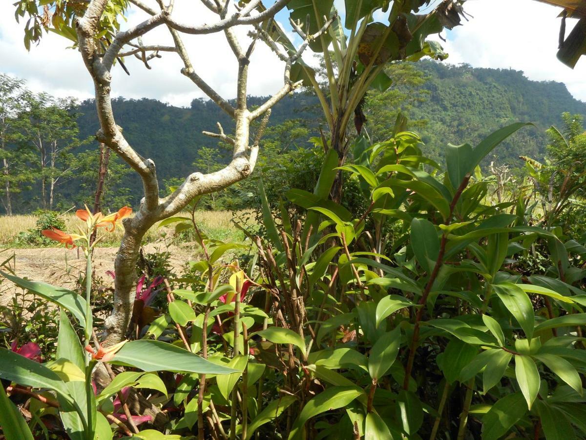 サイドメン The Bukit Artha Bed & Breakfast エクステリア 写真