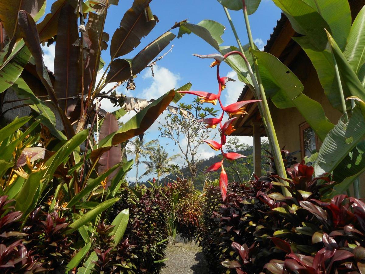 サイドメン The Bukit Artha Bed & Breakfast エクステリア 写真