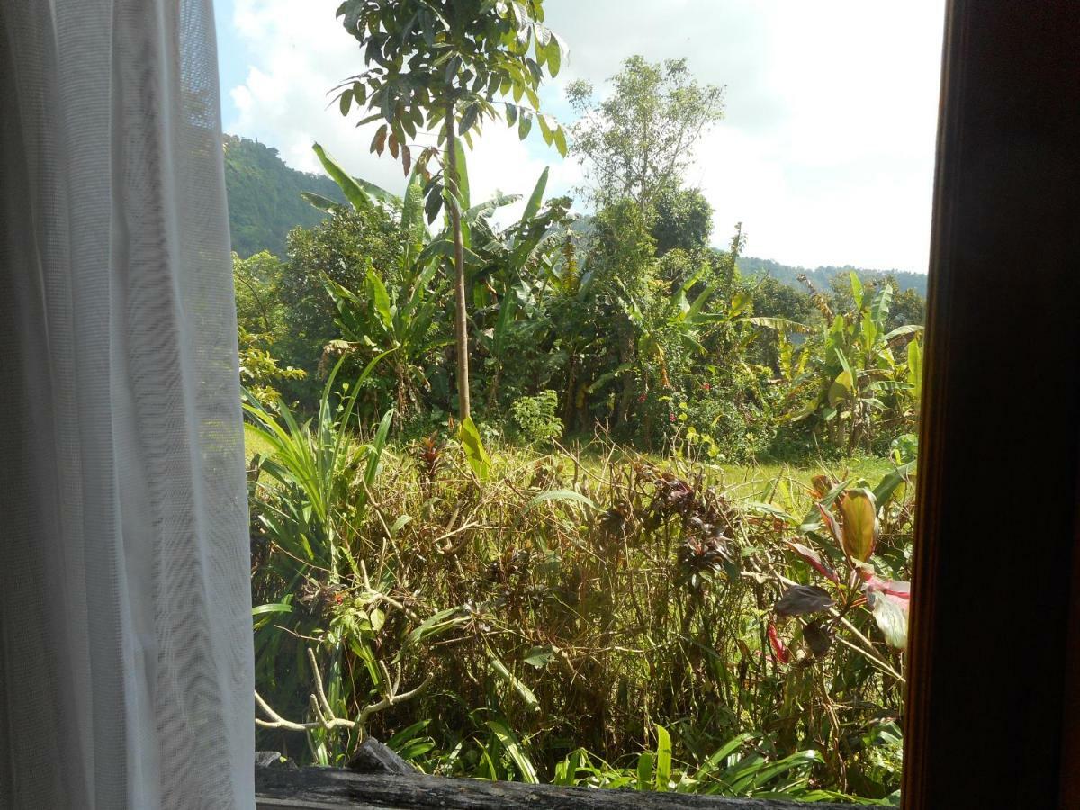 サイドメン The Bukit Artha Bed & Breakfast エクステリア 写真